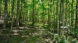 696 Dark Hollow Rd - Photo 23