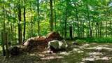 696 Dark Hollow Rd - Photo 6