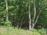 Lot 1 Rt. 1 Muddy Creek Mountain - Photo 3