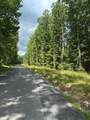 Lot 1 Rt. 1 Muddy Creek Mountain - Photo 4