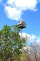 5557 Flat Mountain Rd - Photo 13