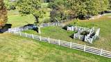 5557 Flat Mountain Rd - Photo 18