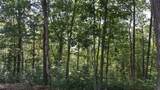 Lot 23 Wildwood Ridge - Photo 10