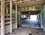 3672 Blue Sulphur Pike - Photo 19