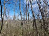 7.28 Acres G.W. Lane - Photo 7