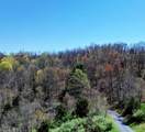 7.28 Acres G.W. Lane - Photo 8
