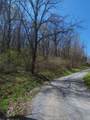 7.28 Acres G.W. Lane - Photo 9