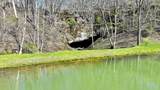 5427 Lobelia Rd - Photo 32