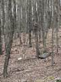 3358 Zenith Rd - Photo 7