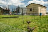 4609 Bozoo Rd - Photo 81