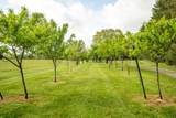 4609 Bozoo Rd - Photo 86