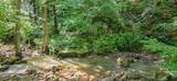  Ellison Ridge Rd - Photo 13