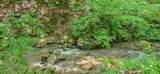  Ellison Ridge Rd - Photo 14