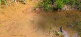 Ellison Ridge Rd - Photo 15