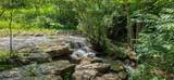  Ellison Ridge Rd - Photo 18