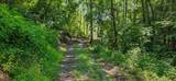  Ellison Ridge Rd - Photo 4