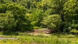  Ellison Ridge Rd - Photo 45