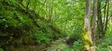  Ellison Ridge Rd - Photo 8