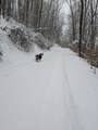 551 Montvue Dr - Photo 40