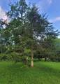291 Blankenship Rd - Photo 18