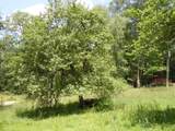 15240 Back Mountain Rd - Photo 30