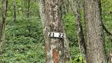  Lots 21 Eagles Nest - Photo 21