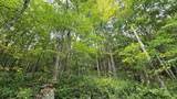  Lot 22 Eagles Nest - Photo 10