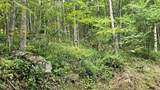  Lot 22 Eagles Nest - Photo 12