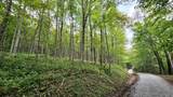  Lot 22 Eagles Nest - Photo 15
