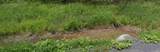  Gray Gable Road - Photo 3