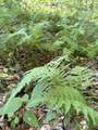  Thompson Road - Photo 6