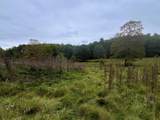 11926 Browns Creek Rd - Photo 3