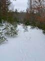 11926 Browns Creek Rd - Photo 8
