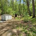  3136 Beaver Creek Road - Photo 4