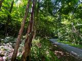 Tbd Leonard Long Rd - Photo 1