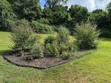 196 Old White Trail - Photo 10