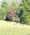 576 Brownsburg Rd - Photo 45