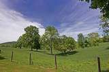4061 Fairview Rd - Photo 21
