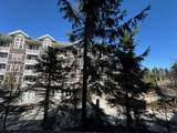 6175 Snowshoe - Photo 23