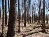 6185 Cass Road - Photo 9