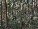 4 Lots Woodland Drive - Photo 1