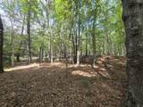 Tbd White Pine Lane - Photo 23