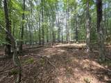 Tbd White Pine Lane - Photo 25