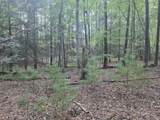 Tbd White Pine Lane - Photo 27