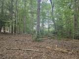 Tbd White Pine Lane - Photo 28