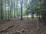 Tbd White Pine Lane - Photo 29