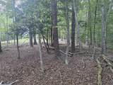Tbd White Pine Lane - Photo 30