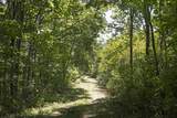 2561 Morris Branch Rd - Photo 29