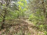 345 Panther Run Rd - Photo 22