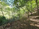 345 Panther Run Rd - Photo 23